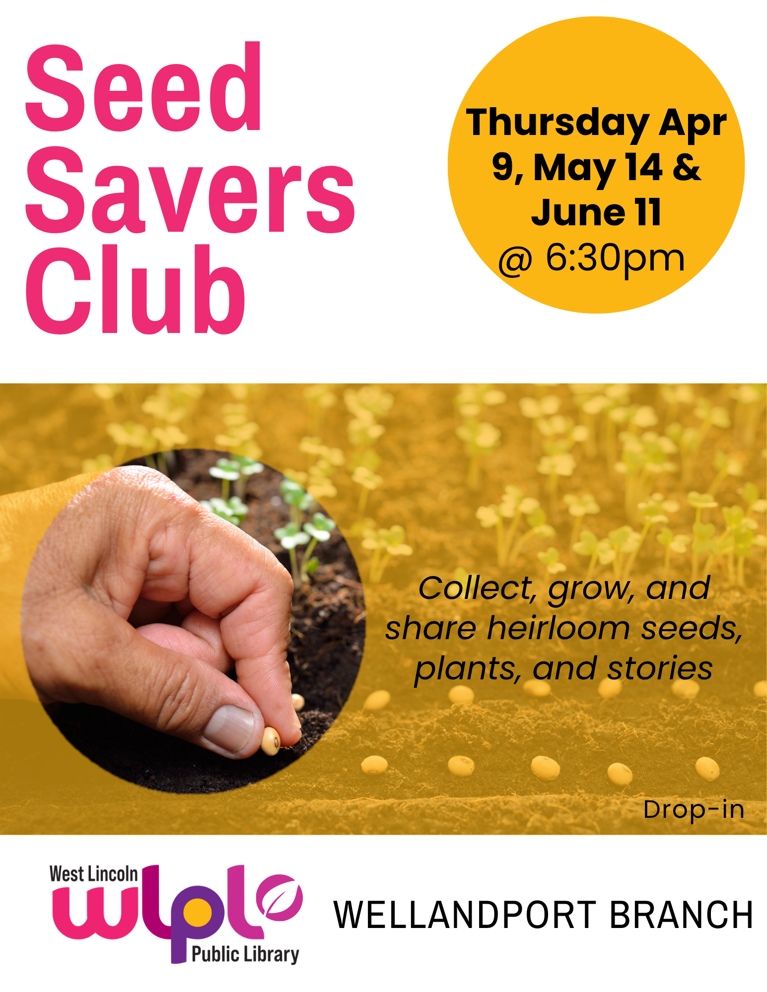 Poster for Seed Savers Club. Collect, grow, and share heirloom seeds, plants and stories. Thursday April 9, May 11 and June 11 @ 6:30pm. Drop-in. Wellandport branch.